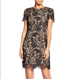 Dress the Population Anna Crochet Lace Sheath Dress Black Short Sleeve